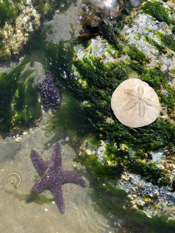 Kye Bay Bnb - A Place To Breathe 科莫克斯 外观 照片
